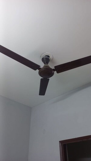 3 BHK Apartment For Rent in Divine Meadows, Sector 108