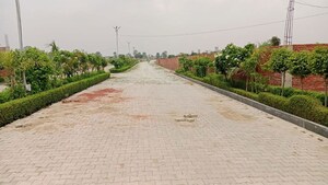  Plot For Sale in Darekhu