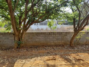 Plot Area in  Showroom at Harohalli – for Sale