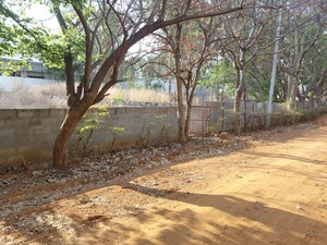 Plot Area in  Showroom at Harohalli – for Sale