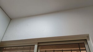 Furnished Amenities in 2 BHK Apartment at Puranik Aldea Anexo, Baner – for Rent
