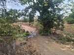 58806 Sq.Ft. Plot in Kharghar