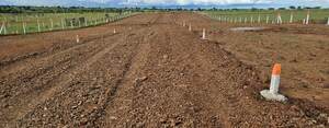Plot Area in  Plot at Supe – for Sale