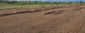  Plot For Sale in Supe