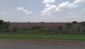  Plot For Sale in Rajupalem