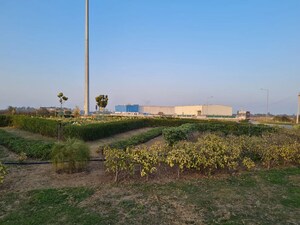 Plot Area in  Plot at Yakubpur – for Sale