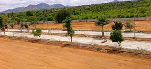  Plot For Sale in Mulabagilu