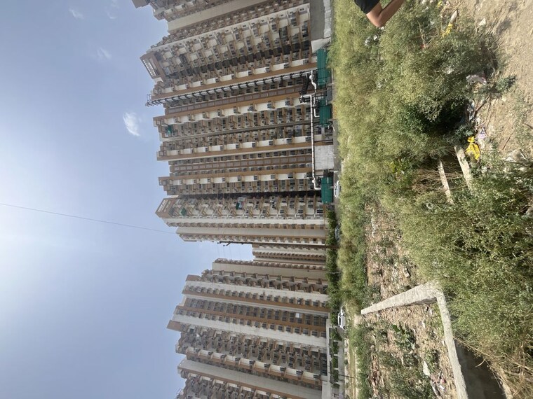 Exterior View, amrapali-centurian-park-phase-ii  130 Sq.Yd. Plot In Tech Zone 4 Greater Noida Greater Noida 10437739