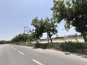 Plot For Sale in Pataudi