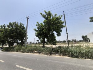 Plot Area in  Plot at Pataudi – for Sale