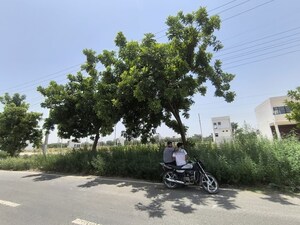   Plot at Pataudi – for Sale