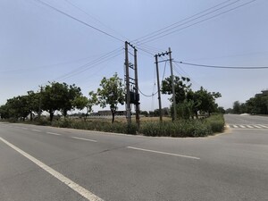  Plot – Exterior View View at Pataudi - for Sale