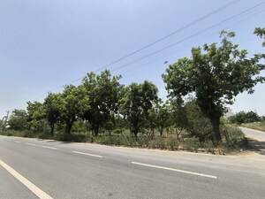 Plot Area in  Plot at Pataudi – for Sale