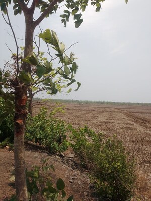  Plot – Garden View at Uran - for Sale