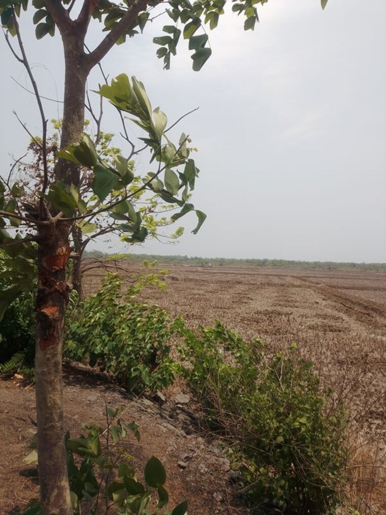 Garden, uran  1089 Sq.Ft. Plot In Uran Navi Mumbai 10437859