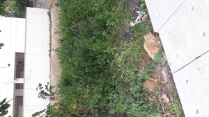  Plot For Sale in Sadashiva Nagar