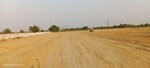 100 Sq.Yd. Plot in Saimari