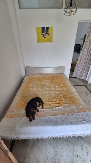 Bedroom in 1 BHK Builder Floor at Safdarjung Enclave – for Rent