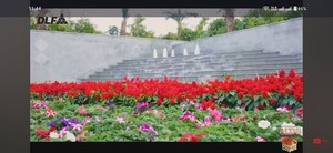 Swimming Pool in 3 BHK Apartment at DLF The Skycourt, Sector 86 – for Rent