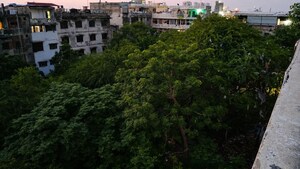 3 BHK Builder Floor For Rent in Naraina
