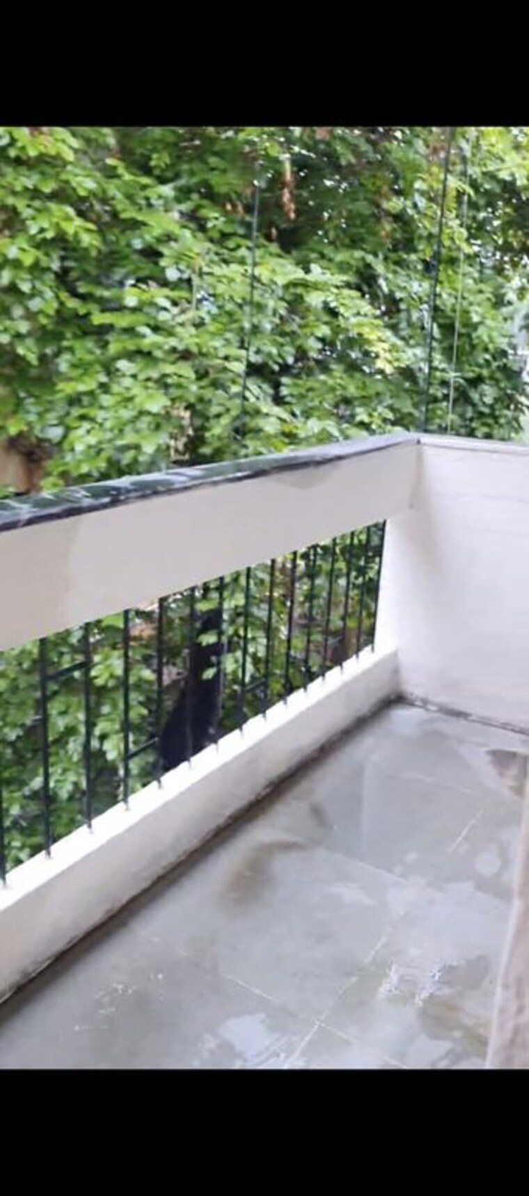Balcony, sadashiv peth 3 Bedroom 1100 Sq.Ft. Apartment In Sadashiv Peth Pune 10438509
