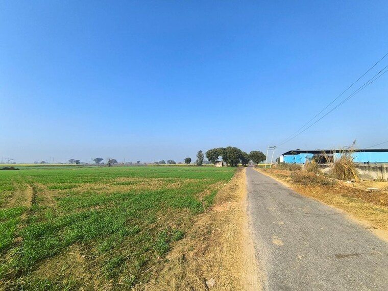 undefined, sector 10a  100 Sq.Yd. Plot In Sector 10a Gurgaon 10438525
