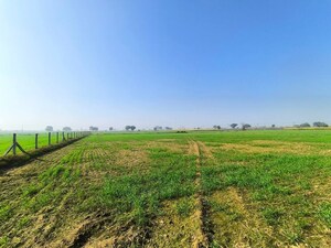 Plot Area in  Plot at Sector 10a – for Sale