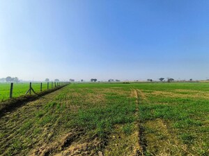 Plot Area in  Plot at Sector 10a – for Sale