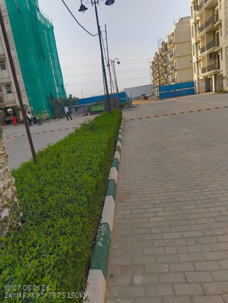 Garden, signature-global-park-4-and-5 3 Bedroom 1120 Sq.Ft. Apartment In Sohna Sector 36 Gurgaon 10438599
