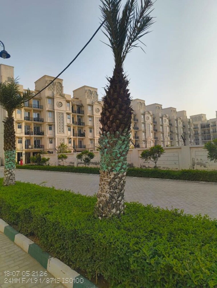 Garden, signature-global-park-4-and-5 3 Bedroom 1120 Sq.Ft. Apartment In Sohna Sector 36 Gurgaon 10438599