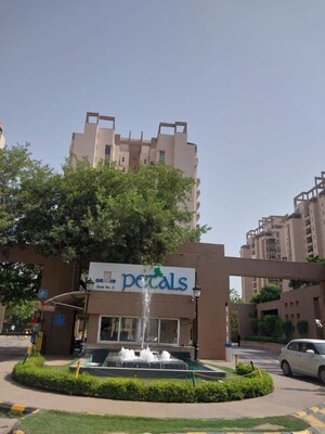 3 BHK Apartment For Sale in Orchid Petals, Sector 49