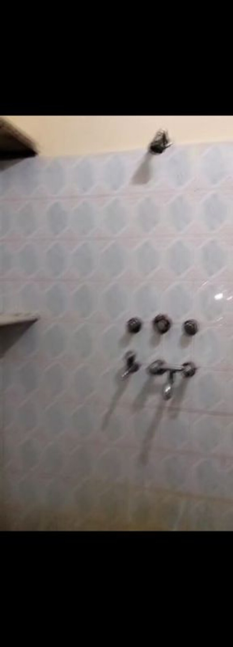 Bathroom, sector 14 1 RK 2500 Sq.Ft. Builder Floor In Sector 14 Sonipat 10438756