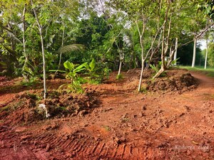  Plot For Sale in Muttada