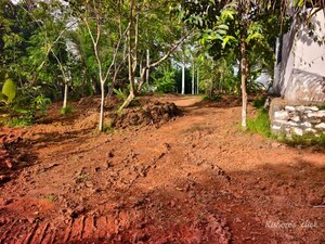 Plot Area in  Plot at Muttada – for Sale