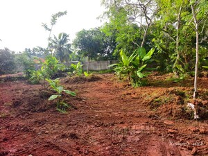 Plot Area in  Plot at Muttada – for Sale