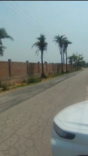 Plot Area in  Industrial Plot at Pirthla – for Sale