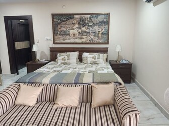 1 BHK Apartment For Rent in Sai Annapurna Nilayam in Chanda Nagar, Hyderabad