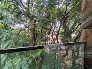 1 BHK Builder Floor – Garden View at Koramangala - for Rent