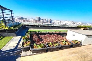 1 BHK Apartment For Rent in Ajax Global Lifestyle, Kharadi
