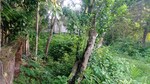 28800 Sq.Ft. Plot in Amtala
