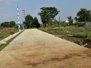 Plot Area in  Plot at Amargol – for Sale