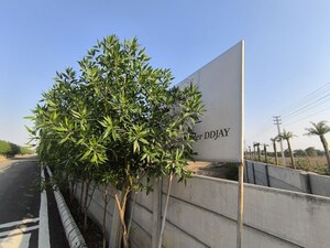   Plot at Spiti Heritage Homes, Pataudi – for Sale
