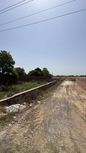  Plot For Sale in Dharampura