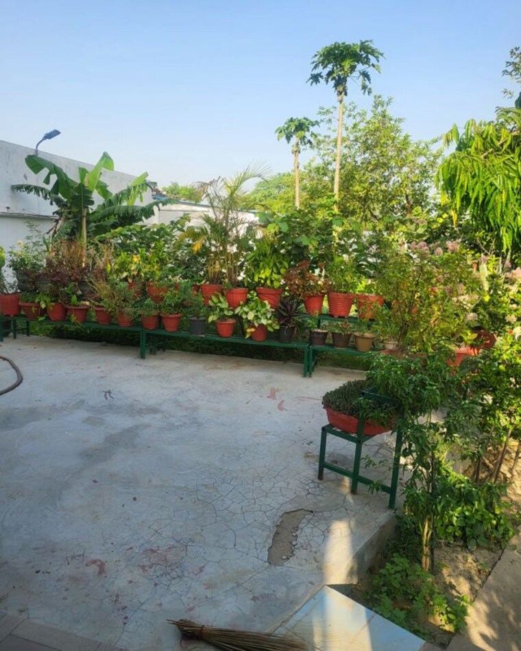 Exterior View, mohanlalganj  10000 Sq.Ft. Plot In Mohanlalganj Lucknow 10393224