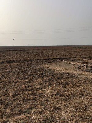  Plot For Sale in Chirle