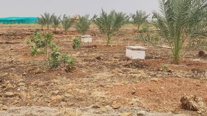 Plot Area in  Land at Wasar – for Sale