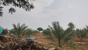 Plot Area in  Land at Wasar – for Sale