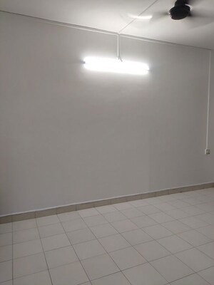 2 BHK Apartment For Rent in Roseland Residency