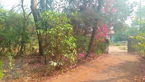  Plot – Exterior View View at Karjat - for Sale