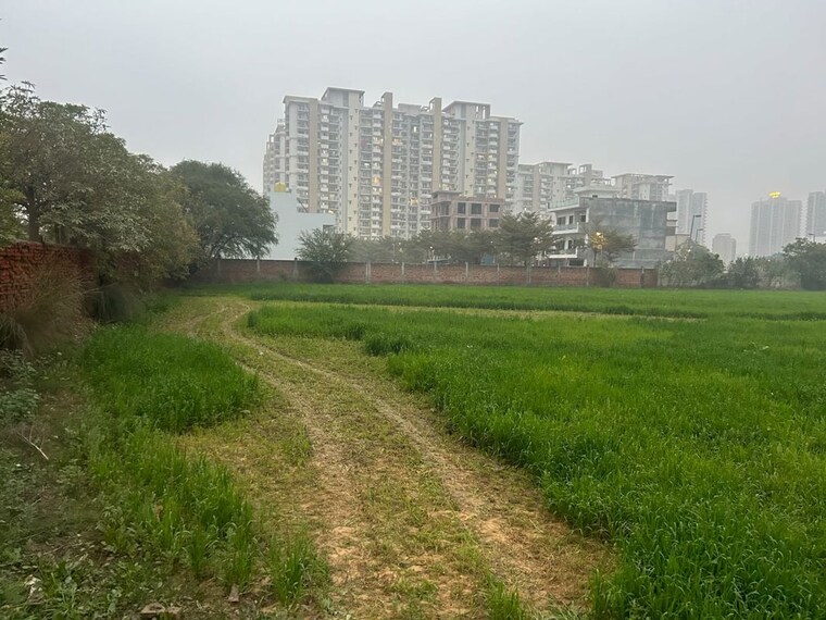 Exterior View, sector 106 Commercial Land 200 Sq.Yd. In Sector 106 Gurgaon 10442511